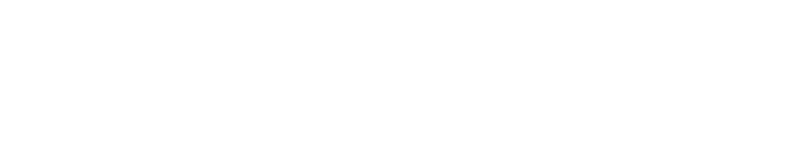 D1 Estúdio